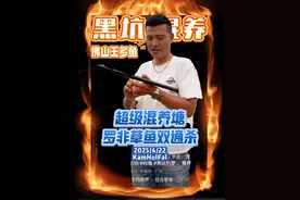 综合塘开塘3000斤草鱼，4000斤罗非，饵料已备好来啥钓啥 #钓鱼 #黑坑钓罗非 #黑坑钓草鱼 #综合塘钓鱼技巧 #罗非散炮视频封面