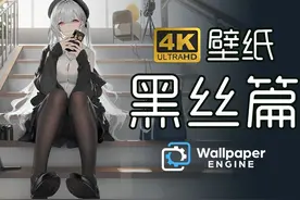 【4K壁纸·黑丝篇】免费下载4K原图视频封面