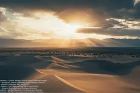 Summer Never Ends金色叶子 #音乐  #节奏