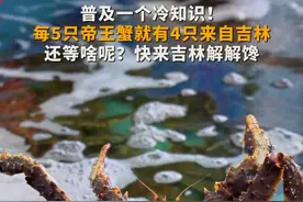 普及一个冷知识！#每5只帝王蟹就有4只来自吉林  还等啥呢？快来吉林解解馋视频封面