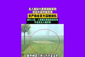 4月10日（采访），开封，无人机给小麦喷洒除草剂，旁边大蒜开始发黄，农户称自家大蒜被误伤，操作人员：人家都没事就他家有事，不是我无人机的事。 #中国节气谷雨篇  #不一样的中国节气视频封面