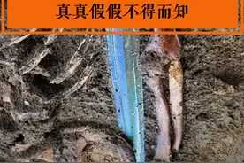3000多年的历史德国青铜剑，真真假假不得而知#考古发掘 #文物 #青铜剑 #奇闻奇事视频封面