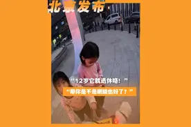 “12岁它就退休咯！”“那你是不是眼睛也好了？”当小女孩遇到盲人与“导盲犬”，随口而出的一句话，暖到了心里。（人民日报）