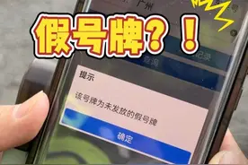 切勿使用伪造号牌 遵纪守法平安出行 #文明守法平安出行 视频封面