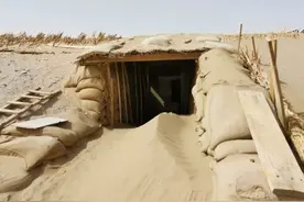 在人生最好的阶段，他卖掉了自己的房子车子，住进沙漠窑洞里 改造沙漠边缘的土地，种树防沙，培育600多种沙漠适生农林作物……如今，已经62岁的柴在军，仍在沙区一线为”绿洲梦“奋斗着。#新农人计划2024 #防沙治沙  #传递正能量视频封面