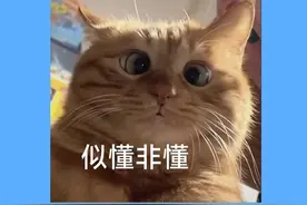 地理题：泡沫海是怎么形成的？ #泡沫海 #地理 #地理题 #高中 #知识前沿派对视频封面