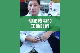 硼肥的正确施用时间和三个黄金搭档，用对了，增产增收 #硼肥 #种植户 #农作物 #三农种植 #三农流量扶持计划视频封面