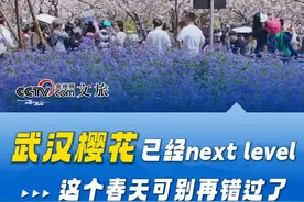 #武汉樱花已经nextlevel ，这个春天可别再错过了。#从春天出发#武汉过早#和刀郎一起在武汉合唱视频封面