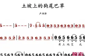 土坡上的狗尾巴草 原声 #动态曲谱 #动态谱伴奏 #卢润泽视频封面