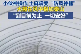 3月3日，河南开封。小伙神操作 土麻袋变“防风神器”，大棚在风中稳如泰山，“到目前为止  一切安好”。#河南 #极端天气 #大风 #农业大棚 #河南dou知道视频封面