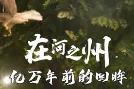 走进临夏地质公园博物馆，翻开书签，展页之时视频封面