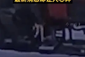 小猫被误扔下火车 上千俄罗斯人一起寻找 最新消息却让人心碎视频封面