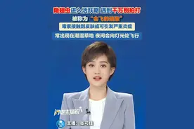 隐翅虫进入活跃期，遇到后千万别拍打！毒素接触到皮肤或可引发严重炎症，被称为“会飞的硫酸”！#隐翅虫 #生活常识 #生活妙招