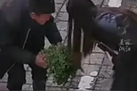 滴水之恩涌泉相报！#热心店主帮助90多岁的卖菜爷爷 ，开启了一场延续半年的双向奔赴......（来源：@Puffin不是心怡 ）视频封面
