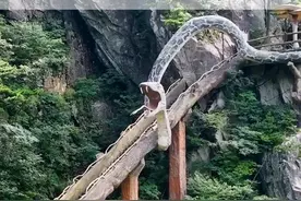 在湖北深山发现一条有水桶粗的巨蟒，长约五十米，盘踞缠绕在通行的石桥之上，当地人称它为巨蟒出山，看着就让人毛骨悚然，太吓人了！#旅行推荐官 #拍摄 #大自然视频封面