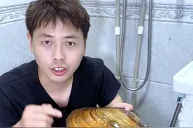 活了14年的大河蚌能不能开出珍珠？ #河蚌 #河蚌开珍珠 #野生河蚌 #大河蚌 #河蚌除绿水