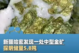 4月21日报道，新疆哈密发现一处中型金矿，探明储量5.8吨，最高品位达每吨40克，黄金今年累涨33%涨幅超比特币视频封面
