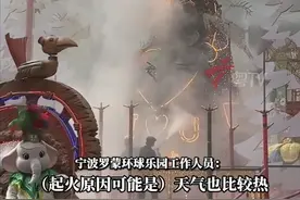 7月6日，浙江宁波罗蒙环球乐园内一棵大型装饰圣诞树突然起火，明火从顶部猛烈燃烧产生浓烟，工作人员用灭火器进行扑救。该乐园工作人员表示，该装饰树已连夜拆除，起火原因可能是天气炎热加上线路老化导致电源短路，目前游乐园已进行停业整改。