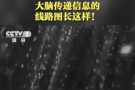 速看！这是全世界第一次绘制微米分辨率的猴脑连接图谱！在人的大脑中，这样的神经元有860亿个，人类想要进一步探索大脑、理解意识，任重而道远。#开讲啦视频封面