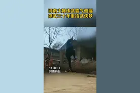 河南大婶练武霸气侧漏，停武三十年重拾武侠梦视频封面
