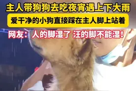 吃夜宵遇上下大雨#爱干净的小狗踩主人的脚上避雨  网友：人的脚已经湿了，汪的脚不能再湿！ （来源：@🐶肉肉和小黄 ；记者：黄逸文）视频封面