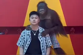 男子和猴子合照 猴子的最后一个动作给小伙整懵圈了 #搞笑视频 #猴子搞笑视频 #原谅我不厚道的笑了