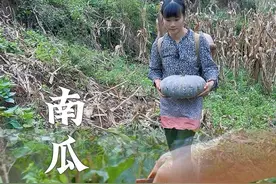 地里的南瓜太多，吃不完，可以把他做成南瓜普脯，香甜有嚼劲 #南瓜 #农村美食 #我的乡村生活 #新农人计划2024视频封面
