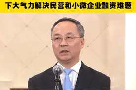两会速递丨国家金融监管总局局长李云泽：增加信贷投放、减少中间环节，下大气力解决民营和小微企业融资难题（来源丨央视新闻 剪辑丨谢羲薇  梁婧 实习）#当代资讯  #2025全国两会 #十四届全国人大三次会议 #部长通道 #民营企业 #小微企业 #融资难视频封面