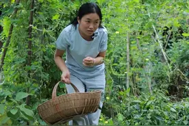 糖醋苦瓜 前几天腌的糖醋苦瓜，已经可以吃了，刚好周末琪琪奶奶也回来了，送一点过去让琪琪奶奶尝尝我的手艺。#农村美食记录生活 #记录我的农村生活 #乡村守护人