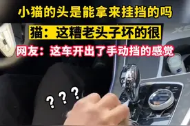 小猫的头是能拿来挂挡的吗？猫：这糟老头子坏的很，网友：这车开出了手动挡的感觉#本地新闻 #浙江 #铲屎官的乐趣 #委屈猫 （视频来源：@Avacha的动物园 ）视频封面