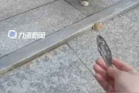 10月29日，江苏南京，#女子投喂流浪猫被回赠小鱼干： 以前还送过鸡腿，没想到会感恩。视频封面