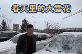 南北差异到底有多大？南方春暖花已开，北国黑龙江却飘起鹅毛大雪 #一秒入冬的节奏 #南北差异 #梦儿在北大荒 #突然下的一场雪