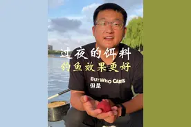 鱼饵厂会给你做发酵饵料吗？很难 过夜的饵料效果会更好，这是有科学依据的#钓鱼视频封面