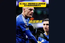 杀人诛心？莱斯特城2比1逆转热刺，瓦尔迪进球后贴脸开大 “我1个英超冠军，热刺0个”#热刺1比2莱斯特城 #瓦尔迪破门 #英超 #热刺 #dou来足球季视频封面