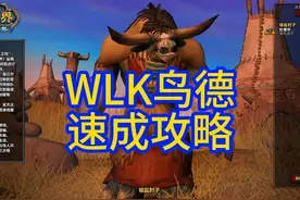 鸟德很简单，一个视频说明白，属性，装备和手法 #魔兽世界视频封面