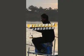 浮漂下沉时停顿加速，化老师告诉你原因#钓鱼人 #钓鱼 #dou是钓鱼人 视频封面