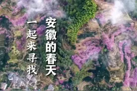 此心安处是吾乡，一起来寻找安徽的春天 （素材支持：程爽、安庆文旅、黄山文旅、黄山发布、安徽天柱山、@视觉池州丨饶颐  、行摄池州、宣州文旅） #春游江淮  #安徽 #接下来的春天是这样的 #董宇辉 #吾乡视频封面