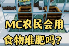 MC农民会用食物堆肥吗？一测便知 #我的世界  #我的世界中国版