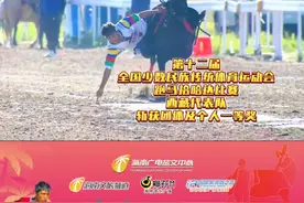 第十二届全国少数民族传统体育运动会跑马拾哈达比赛，西藏代表队斩获团体及个人一等奖。#骑马 #马背上自由的风 #马术 #比赛现场 #哈达视频封面