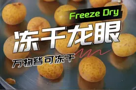 《冻干龙眼》看跟《烘干龙眼即桂圆》有什么区别~ #冻干龙眼 #桂圆 #冻干技术 #冻干水果视频封面