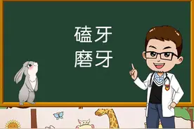 兔子磨牙和磕牙是一样的吗？为什么会磕牙？#宠物兔视频封面