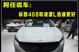 标致408与凌渡L，这两款车同价车，选谁更香 #标致408 #凌渡L