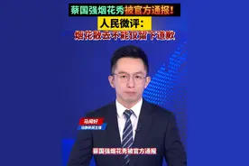 蔡国强烟花秀被官方通报！人民微评：烟花散去不能仅留下道歉 