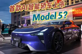 19.99万拿下！宁德时代董事长成首任车主，带货极越07 #新车上市视频封面