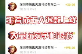 王者成年人退款上线，大量玩家争相退游#王者荣耀视频封面
