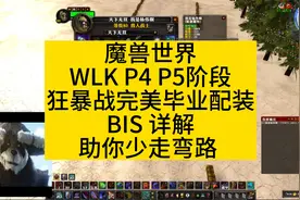 魔兽世界WLKP4 P5阶段狂暴战完美毕业配装BIS推荐#魔兽世界视频封面