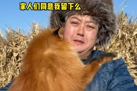 家人们小狐狸太懂事了，吃在多苦，天天被狐王打也要跟着我，家人们同意么？#狐狸 #海龙家的白狐 #动物的迷惑行为大赏 #野生动物零距离视频封面