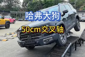 哈弗大狗中华田园犬真的猛 #哈弗大狗改装 #哈弗大狗视频封面