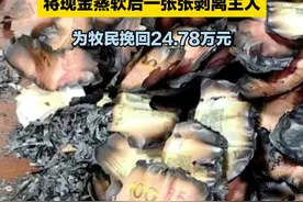 牧民家中起火保险箱被烧变形，30余万现金被“烤焦”后粘连在一起。银行工作人员用蒸锅将现金蒸软后一张张剥离，为牧民挽回24.78万元视频封面