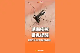 基孔肯雅热已外溢 湖南疾控紧急提醒：我省与广东人员交往密切 面临的输入风险也很高    #基孔肯雅热    #湖南疾控